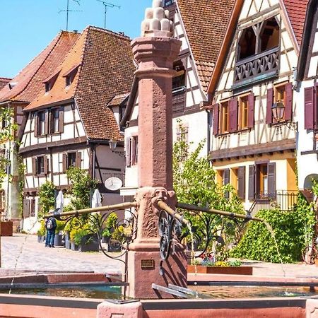 Vue Splendide Au Coeur Des Vignes Daire Bergheim Dış mekan fotoğraf