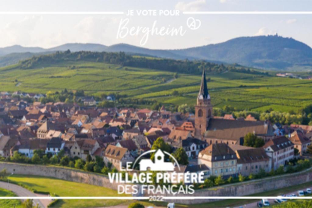 Vue Splendide Au Coeur Des Vignes Daire Bergheim Dış mekan fotoğraf