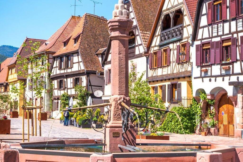 Vue Splendide Au Coeur Des Vignes Daire Bergheim Dış mekan fotoğraf