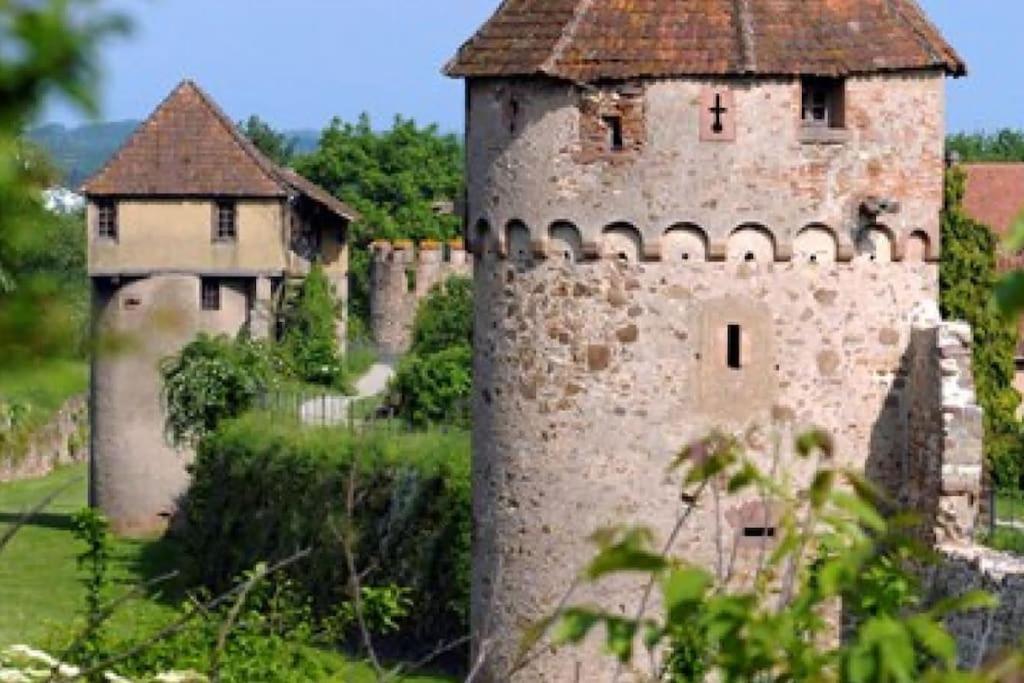 Vue Splendide Au Coeur Des Vignes Daire Bergheim Dış mekan fotoğraf